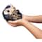 Thames & Kosmos My Robotic Pet Tumbling Hedgehog Kit
